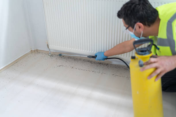 Pest Control for Restaurants in Freeport, PA