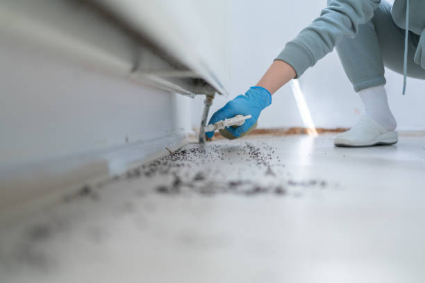 Best Mosquito Control Services  in Freeport, PA